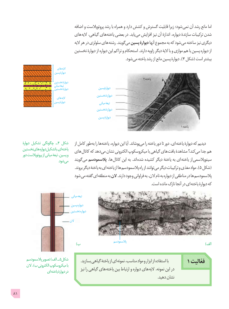 تصویر صفحهٔ ۸۱ کتاب زیست‌شناسی