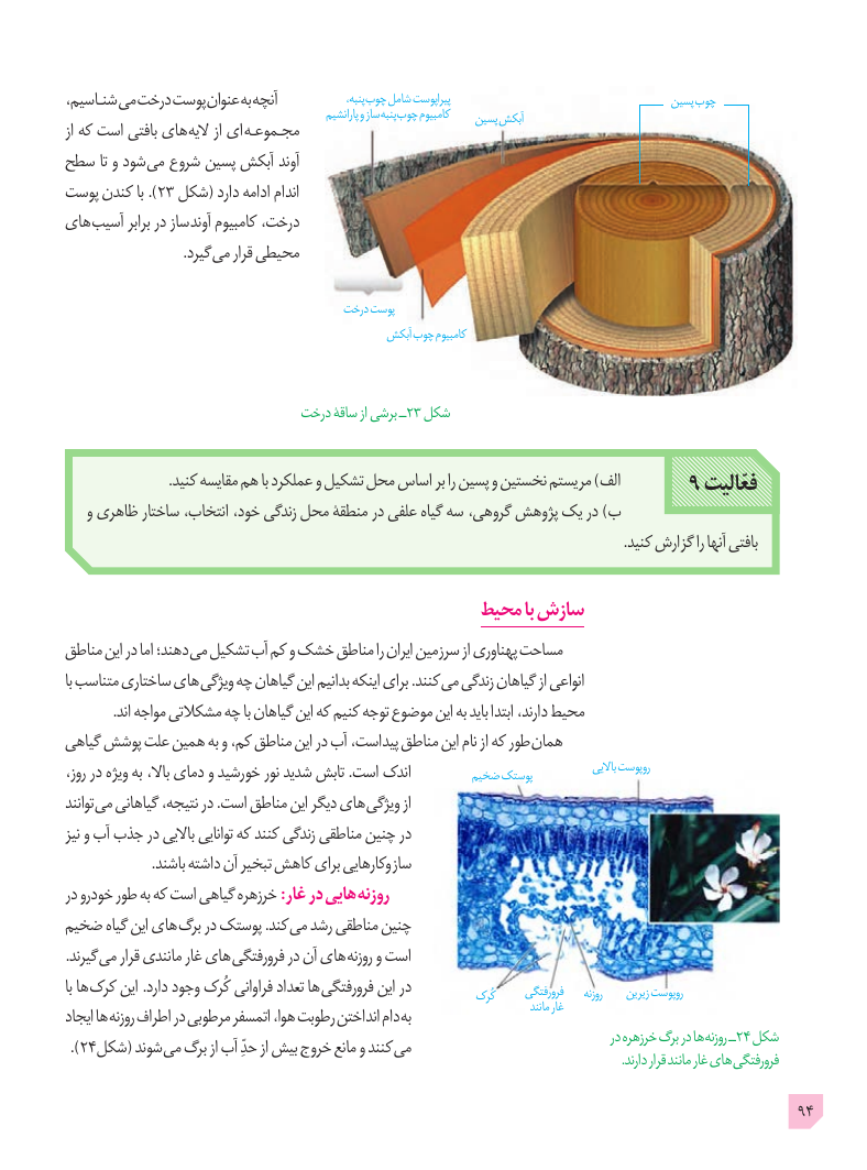 تصویر صفحهٔ ۹۴ کتاب زیست‌شناسی