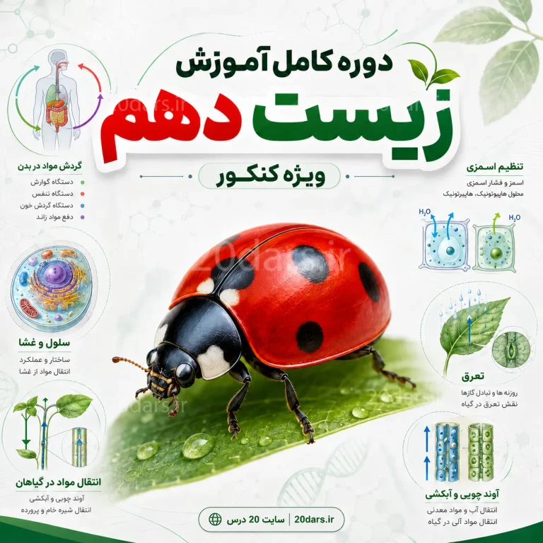 آموزش رایگان و کامل کتاب زیست شناسی دهم مناسب کنکور